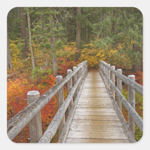 USA, Oregon, Willamette National Forest. Square Sticker