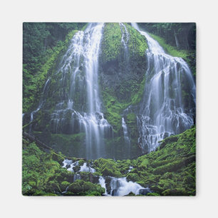 USA, Oregon, Willamette National Forest. View of Magnet