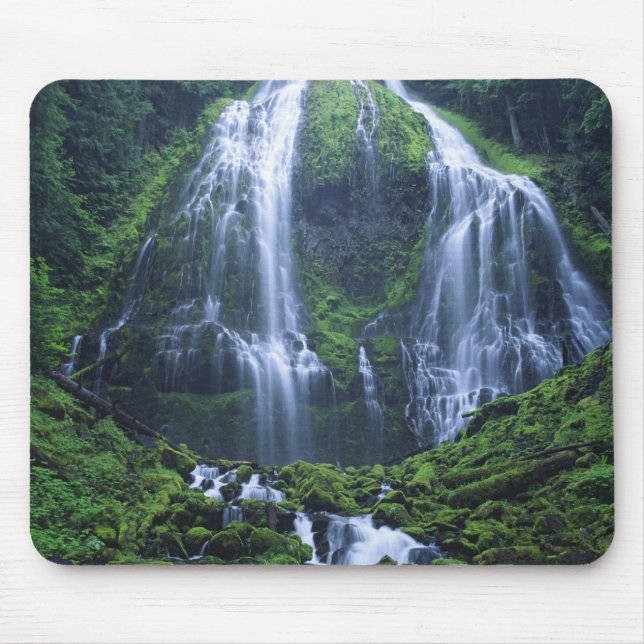 USA, Oregon, Willamette National Forest. View of Mouse Pad (Front)