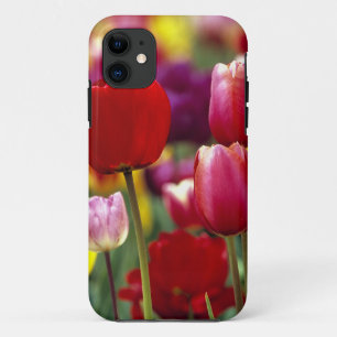USA, Oregon, Willamette Valley. Beautiful iPhone 11 Case