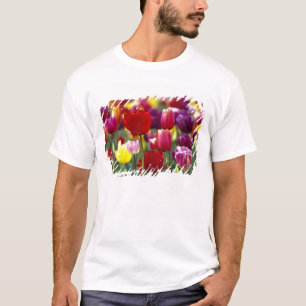 USA, Oregon, Willamette Valley. Beautiful T-Shirt