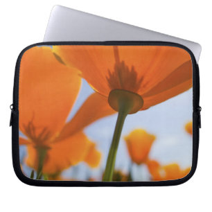 USA, Oregon, Willamette Valley, Close UP of 2 Laptop Sleeve