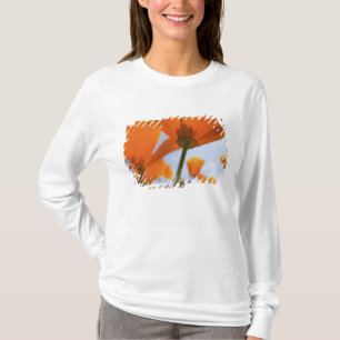 USA, Oregon, Willamette Valley, Close UP of 2 T-Shirt