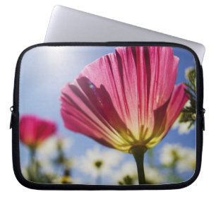 USA, Oregon, Willamette Valley, Close UP of Laptop Sleeve