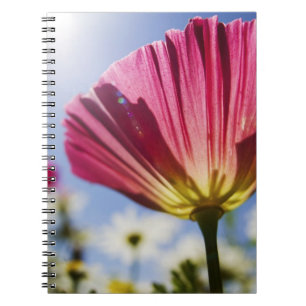 USA, Oregon, Willamette Valley, Close UP of Notebook