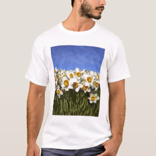 USA, Oregon, Willamette Valley. Daffodils grow T-Shirt
