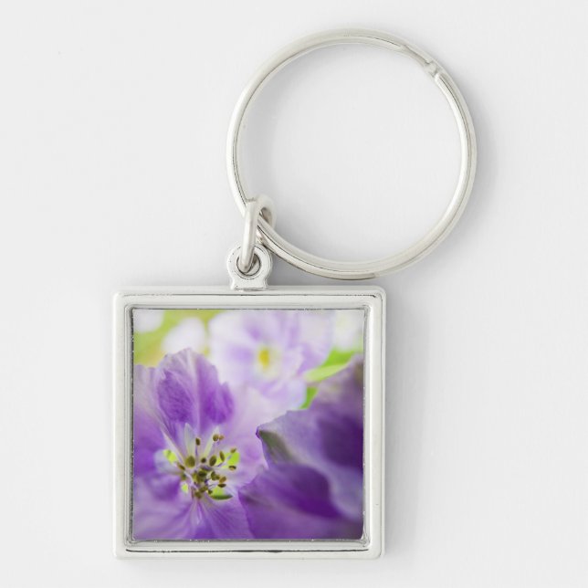 USA, Oregon, Willamette Valley, Larkspur Close Key Ring (Front)