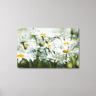 USA, Oregon, Willamette Valley, Selective Canvas Print