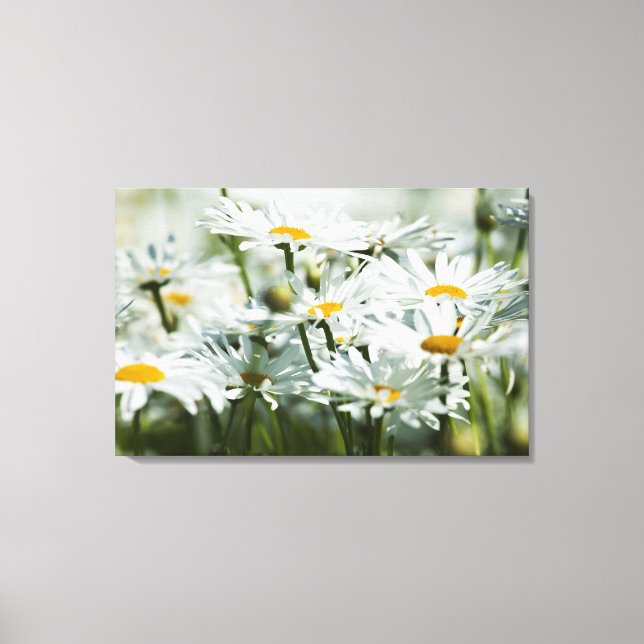 USA, Oregon, Willamette Valley, Selective Canvas Print (Front)