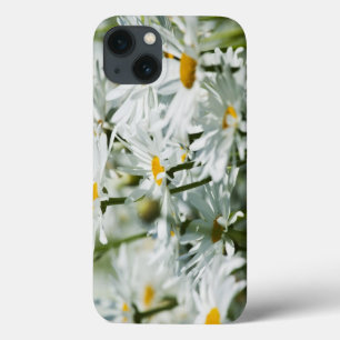 USA, Oregon, Willamette Valley, Selective iPhone 13 Case