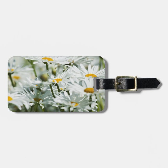 USA, Oregon, Willamette Valley, Selective Luggage Tag (Front Horizontal)