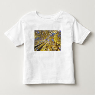 USA, Pacific Northwest. Aspen trees in autumn Toddler T-Shirt