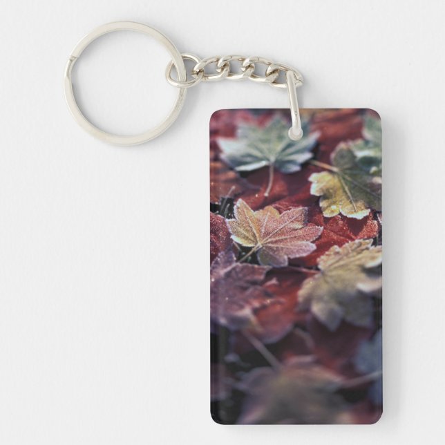 USA, Pacific Northwest. Japanese maple leaves Key Ring (Front)