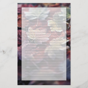USA, Pacific Northwest. Japanese maple leaves Stationery