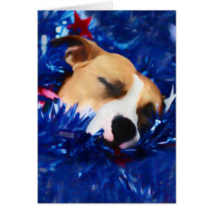 USA Patriotic Dog American Pit Bull Terrier