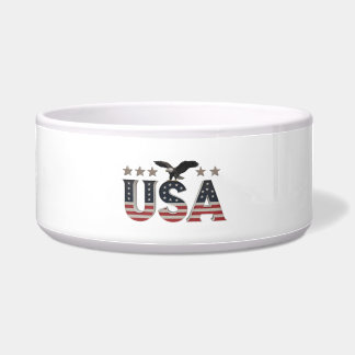 USA Patriotic Eagle + Stars Flag Design for Pride