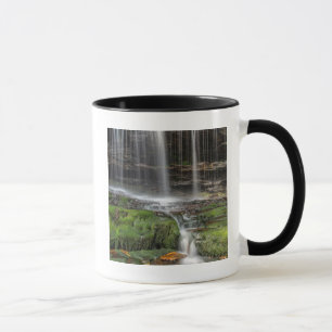 USA, Pennsylvania, Benton. Delicate Waterfall Mug