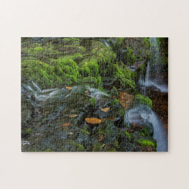 USA, Pennsylvania, Benton, Ricketts Glen State Jigsaw Puzzle (Horizontal)