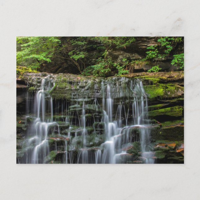 USA, Pennsylvania, Benton. Waterfall In Ricketts Postcard (Front)