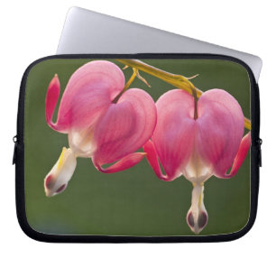 USA, Pennsylvania. Close-up of two bleeding Laptop Sleeve