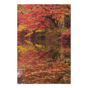 USA, Pennsylvania, Delaware Water Gap National 2 Photo Print