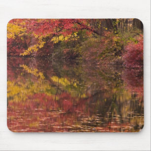 USA, Pennsylvania, Delaware Water Gap National Mouse Pad