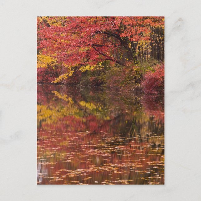 USA, Pennsylvania, Delaware Water Gap National Postcard (Front)