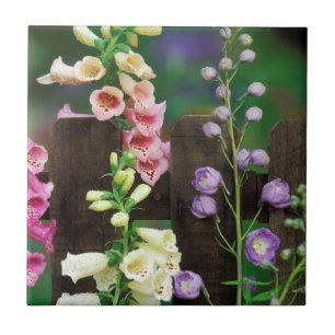 USA, Pennsylvania. Foxglove and delphinium Tile