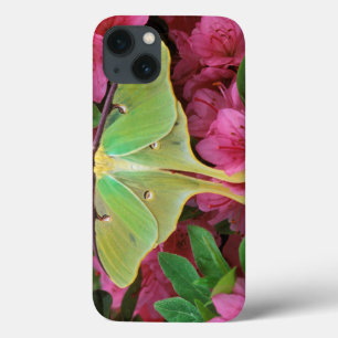 USA, Pennsylvania. Luna moth on pink clematis iPhone 13 Case
