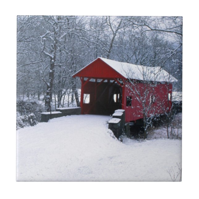 USA, Pennsylvania, Mariana County Tile (Front)