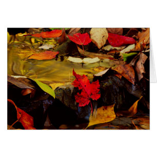 USA, Pennsylvania, Pocono Mountains 1