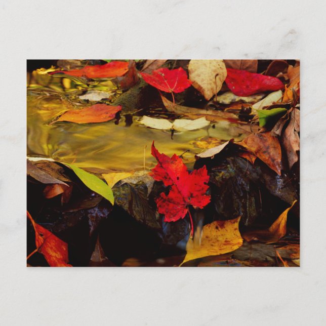 USA, Pennsylvania, Pocono Mountains 1 Postcard (Front)