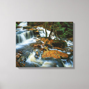 USA, Pennsylvania, Ricketts Glen State Park Canvas Print