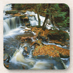 USA, Pennsylvania, Ricketts Glen State Park Coaster