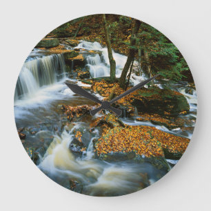 USA, Pennsylvania, Ricketts Glen State Park Large Clock