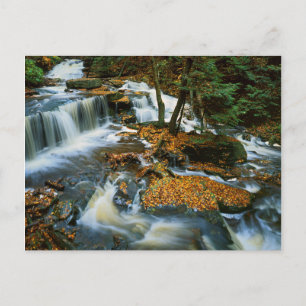 USA, Pennsylvania, Ricketts Glen State Park Postcard