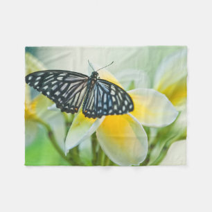USA, Pennsylvania. Swallowtail butterfly Fleece Blanket