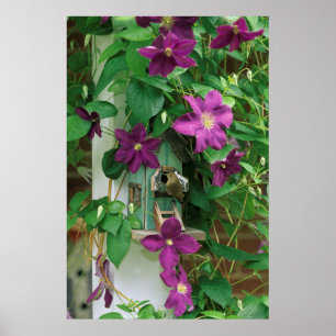 USA, Pennsylvania. Wren in birdhouse Poster