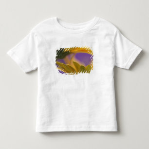 USA, Pennsylvania. Yellow Gerbera Daisies, close Toddler T-Shirt