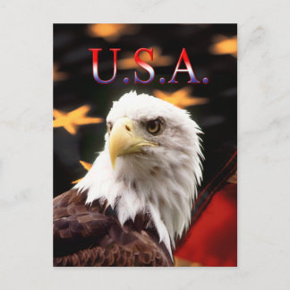 USA POSTCARD