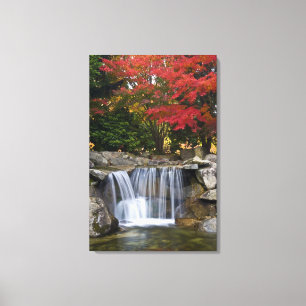 USA, Redmond, Washington. Fall colour in a park. Canvas Print