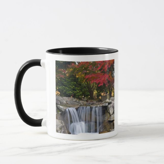 USA, Redmond, Washington. Fall colour in a park. Mug (Left)