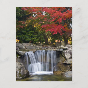 USA, Redmond, Washington. Fall colour in a park. Postcard
