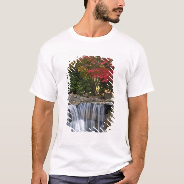 USA, Redmond, Washington. Fall colour in a park. T-Shirt (Front)