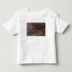 USA, Salmon, Idaho, Log Cabin Toddler T-Shirt