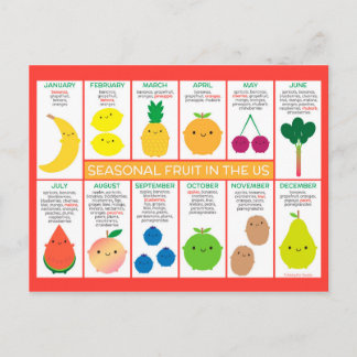 USA Seasonal Fruits Chart Postcard