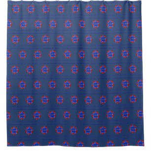 USA Shower Curtain in Red, White & Blue