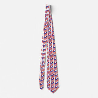 USA Soccer Ball and Flag Tie