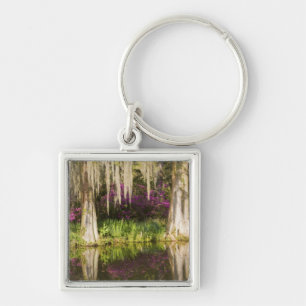 USA, South Carolina, Charleston. Cypress Trees Key Ring