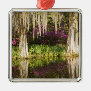 USA, South Carolina, Charleston. Cypress Trees Metal Tree Decoration